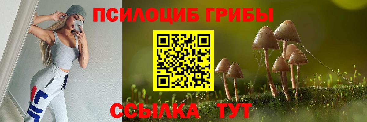 Галлюциногенные грибы мицелий  Вход с VPN  Королёв 