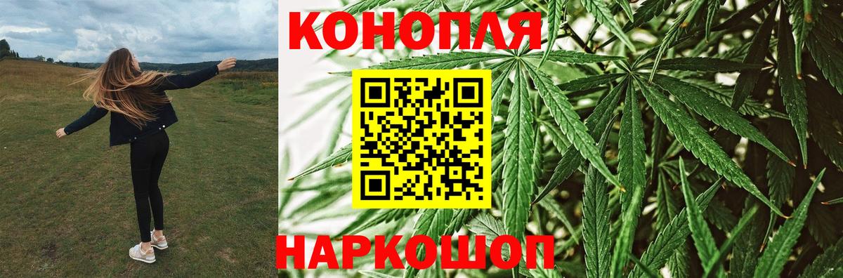 Конопля THC 21%  Вход с VPN  Королёв  Канабис ГИДРОПОН  Шишки марихуана семена  Марихуана MAZAR 